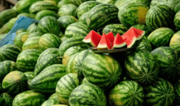 新人冲百粉吃瓜爆料,吃瓜群众热议不断